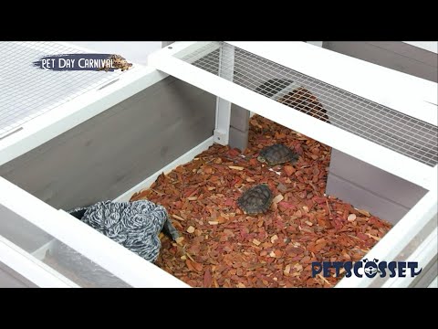 Petscosset TOR02 Tortoise Habitat On Wheels Large Wooden Tortoise House Indoor Tortoise