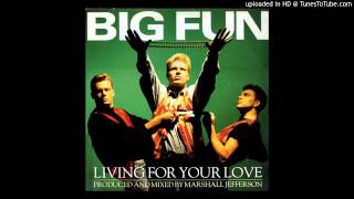 Big Fun - Living For Your Love 12" - 1989