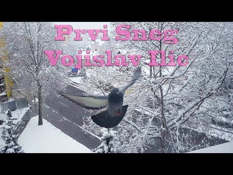 PRVI SNEG Vojislav Ilic