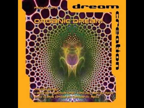 Aphid Moon and Kaptain Kairos   Complex Retracement 2010