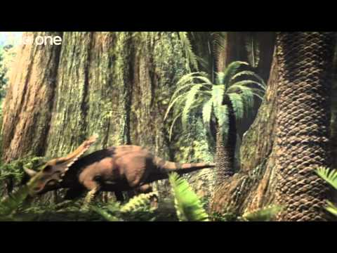 Tyrannosaur Rivalry - Planet Dinosaur - Episode 3 - BBC