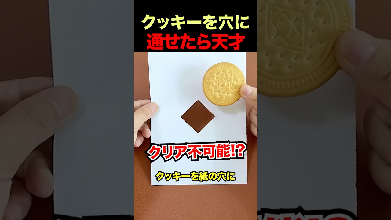 世界でバズったクリア不可能な紙のパズル