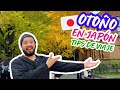 Otoño En Japón TIPS De Viaje