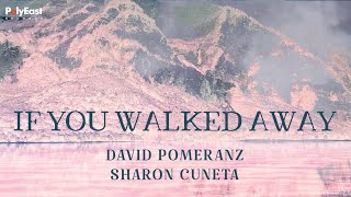 David Pomeranz, Sharon Cuneta - If You Walked Away - (Official Lyric Video)