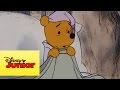 Mini Aventuras De Winnie The Pooh Pooh Conoce A Tigger