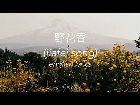 jiafei song lyrics| 野花香 | english translation