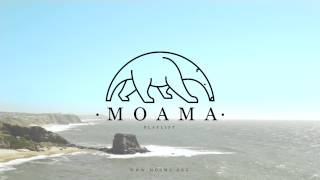 Taylor McFerrin - Florasia