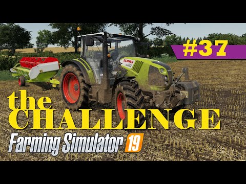 Selling Wool, Harvest All Fields | Greenwich Valley | Farming Simulator 19 Timelapse