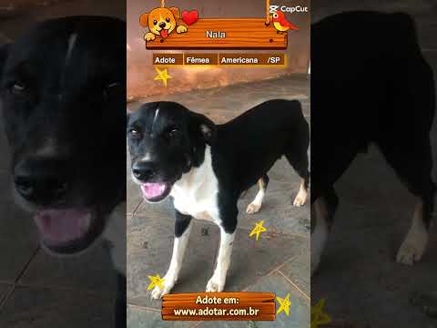Vídeo de Nala