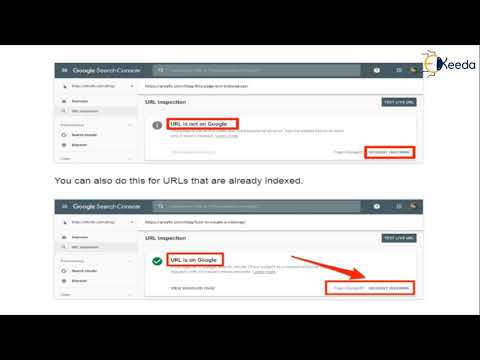 Unlocking The Secrets Of Content Marketing Everything You Need To Know