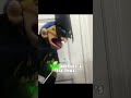 BATMAN JEFFY IS NOT FIGHTING THE JOKER Sml Jeffy Funny Jeffyfunny Memes Edit Shorts
