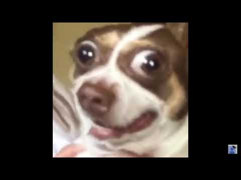 💖I love you Mr.Bubz💖