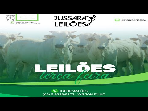 Jussara Leilões - Leilão De Gado Em Jussara - Go 30/12/2025