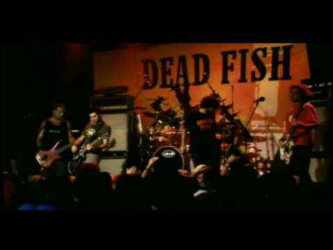Engarrafamento - Dead Fish