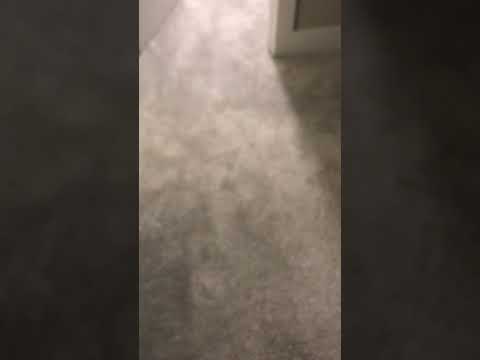 Flying monkeys 🙊 hhc thc 0  purple kush vape seash and review