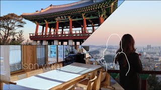 한국인 친구랑 울산 드라이브🌈 韓国人の友達と蔚山ドライブ🤍