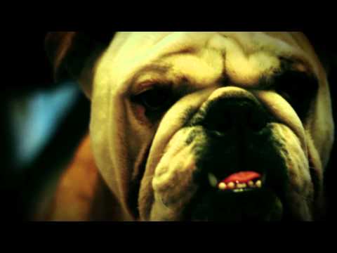 Couzin Hub - D'un jour à l'autre