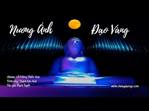 Nương ánh đạo vàng