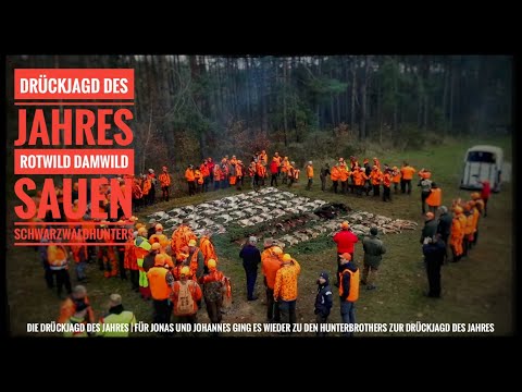 Driven Hunt of the Year | Wild Boars, Red Deer & Fallow Deer at the Hunter Brothers | Black Fores...