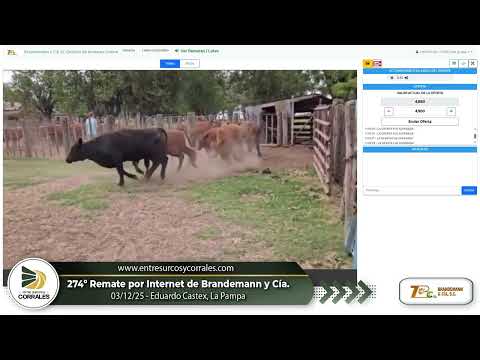 03-12-25 -  274º Remate por Internet de Brandemann y Cia. -  Eduardo Castex, La Pampa