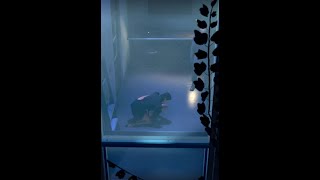 Hitman 2 - WoA - Hawke's Bay | Challengers | Like Fish In A Barrel |