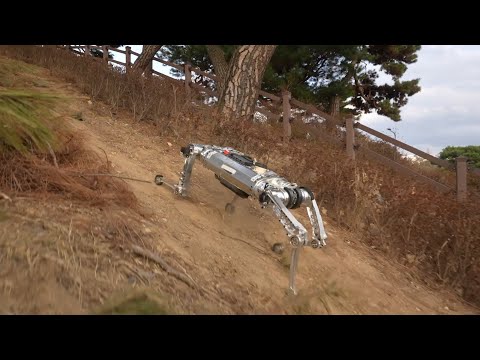 RaiBo Review Video 2