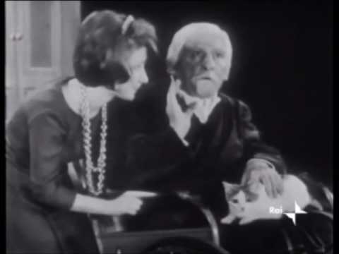 Enrico 61 barzelletta gatto