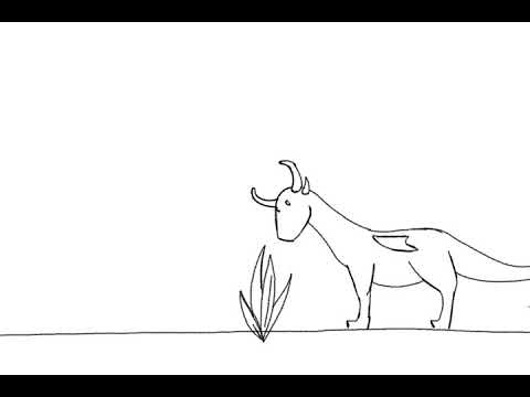 Dragon and the Mandrake (animation)