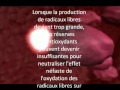 antioxydant 
