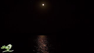 Lake Saimaa, Finland • Relax Nature Sounds & Beautiful Moonlight