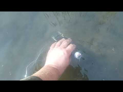 Находка на рыбалке. Мелочь, а приятно! Клад на отмели для гринпис!