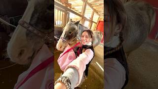 ASMR GROOM MY HORSE WITH ME