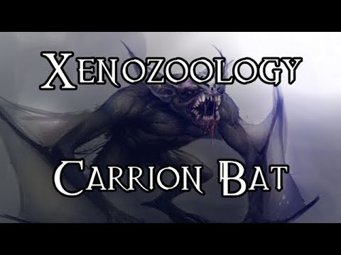 Xenozoology: Carrion Bat - 40K Theories
