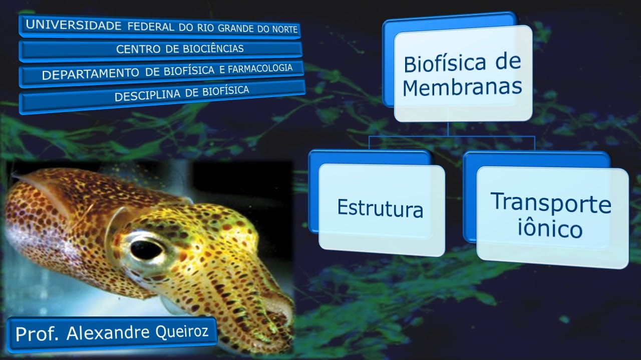 Biofísica de Membranas