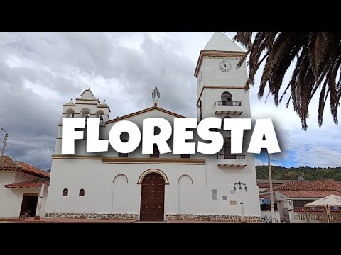FLORESTA BOYACÁ 