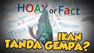 Hoax or Fact: Munculnya Oarfish Pertanda Gempa?