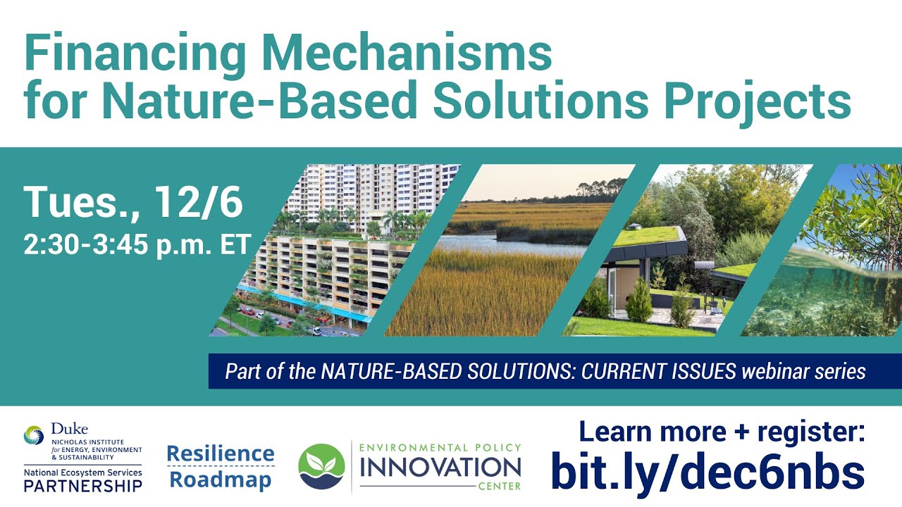 Financing Mechanisms for Nature-Based Solutions Projects