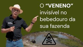 Miniatura do vídeo