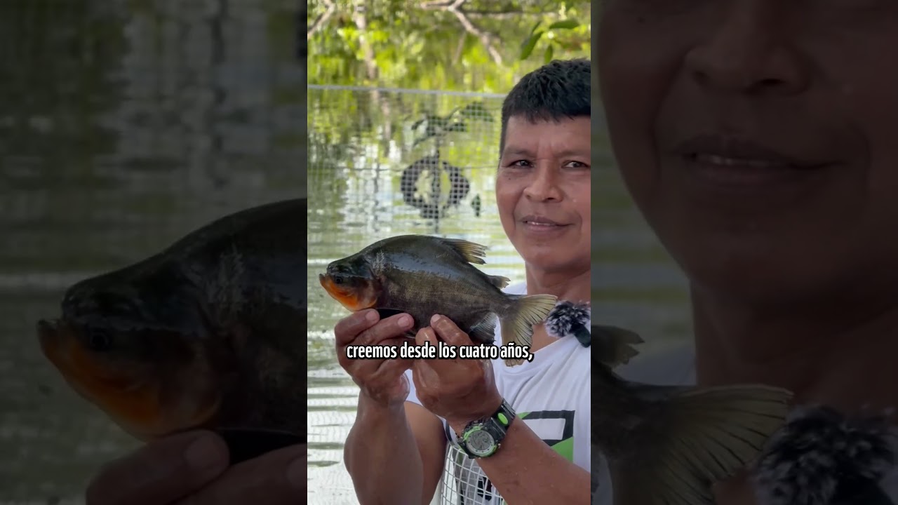 Pescador y científico que más sabe de peces en Colombia