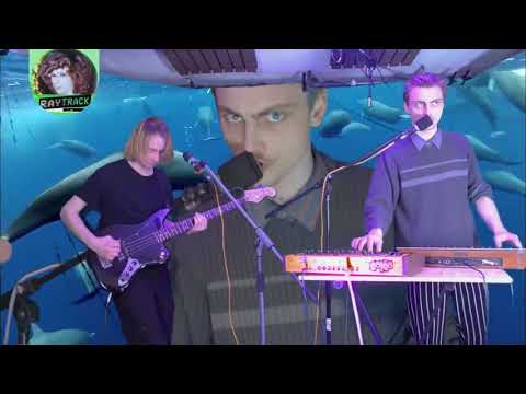 Dolphins - Holy Moly (Raytrack Session 2/2)