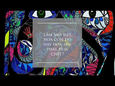 Thể hiện bởi Lê Hiếu