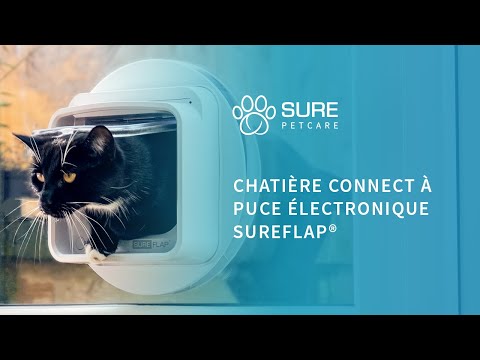 Chatière à puce électronique Connect