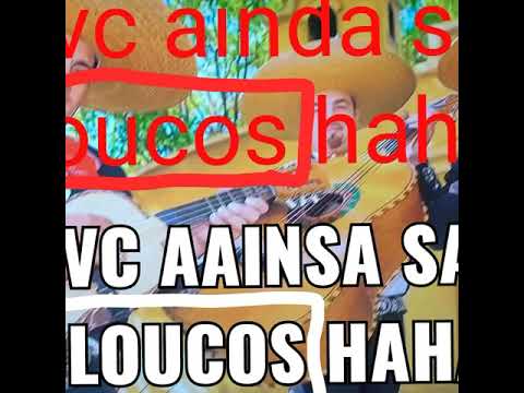 LIL MINGAU - vcs ainda sao loucos hahahah :)