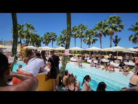 🇪🇸 Chasing Vibes in Ibiza: Soul Heaven at O Beach - Pool, Music, and Magic #ibiza