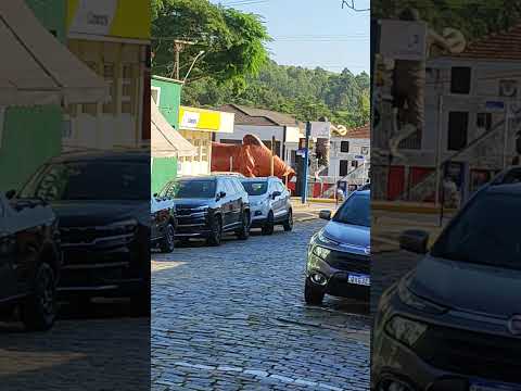 Ouro Fino MG - Terra Querida