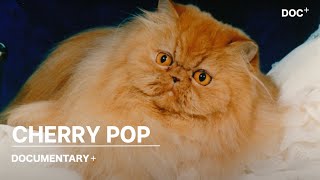 CHERRY POP // SHORT FILM- NOW STREAMING ON DOCUMENTARY+
