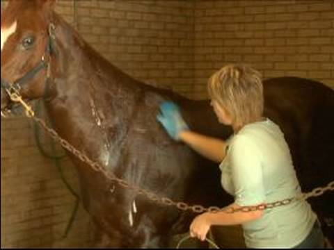 Slide 2 - Vetrolin Bath Ultra-Hydrating Conditioning Shampoo 946ml (video)