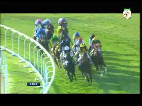 H.H. The Emir Trophy Gr.1