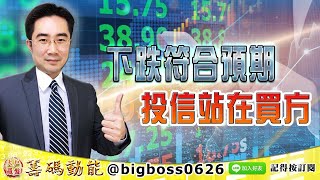 【大戶羅盤籌碼動能】 #謝宗霖 0119，下跌符合預期 投信站在買方 (圖)
