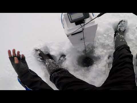 Tammikuu 2021 Särkijärvi